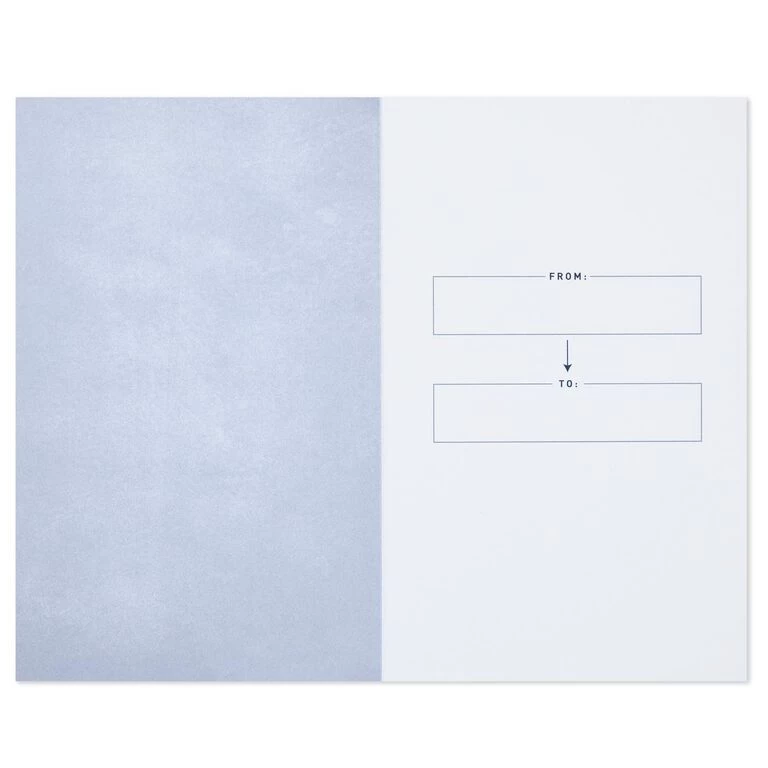 Hallmark College Survival Guide: Tips, Tricks, And A Little Financial Aid Book 4 Hallmark College Survival Guide: Tips, Tricks, And A Little Financial Aid Book - Image 2