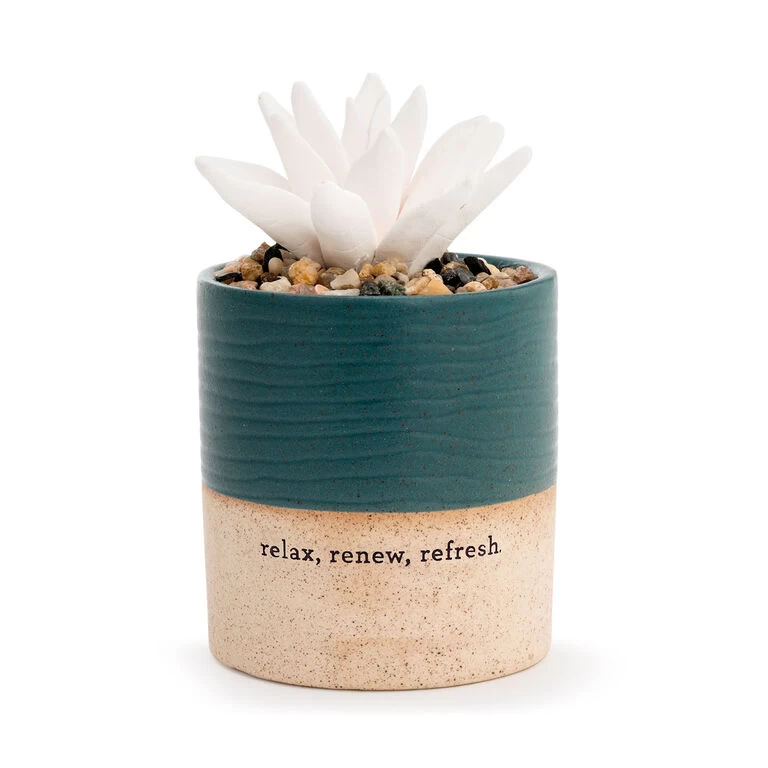 Demdaco Relax Succulent Oil Diffuser 3 Demdaco Relax Succulent Oil Diffuser