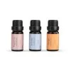 Demdaco Well-Being Essential Oil Trio -Decor Home Shop Demdaco WellBeing Essential Oil Trio 1004540045 01