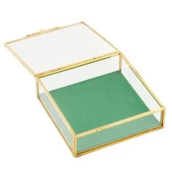 Hallmark The Love Of A Friend Glass Pet Memory Box, 5x5 -Decor Home Shop Glass and Metal Memory Keeper Box for Loss of Pet 1BMK1616 02