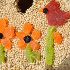 Decor Home Shop -Decor Home Shop Mr. Bird Spring Fruit Casita Birdhouse 740 02