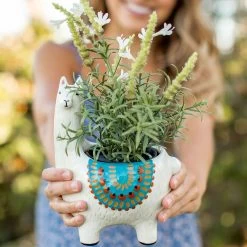 Decor Home Shop -Decor Home Shop Natural Life Cream Ceramic Llama Planter PLNT073 02