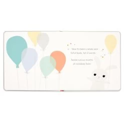 Hallmark One Is Wonderful! Birthday Book -Decor Home Shop One Is Wonderful Birthday Book 1BOK1516 04