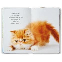 Hallmark Pet Prayers: Funny Pleas And Praise From Our Animal Friends Book -Decor Home Shop Pet Prayers Funny Pleas and Praise From Our Animal Friends Book root 1BOK1418 BOK1418 1470 3.jpg Source Image