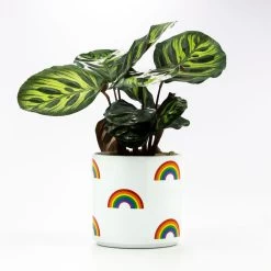 Decor Home Shop -Decor Home Shop Rainbow Icons on White Planter 115440 02