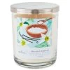 Hallmark Sea Salt Vanilla 3-Wick Jar Candle, 16 Oz. -Decor Home Shop Sea Salt Vanilla 3Wick Jar Candle 1BGC1064 01