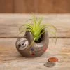 Natural Life Faux Succulent In Sloth Planter, 2" 1 Natural Life Faux Succulent In Sloth Planter, 2" -Decor Home Shop Tiny Sloth Ceramic Planter With Faux Succulent PLNT065 01