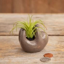 Decor Home Shop -Decor Home Shop Tiny Sloth Ceramic Planter With Faux Succulent PLNT065 02