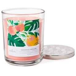 Hallmark Tropical Escape 3-Wick Jar Candle, 16 Oz. -Decor Home Shop Tropical Escape 3Wick Jar Candle 1BGC1051 03
