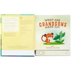 Hallmark What Are Grandsons Made Of? Recordable Storybook -Decor Home Shop What Are Grandsons Made Of Recordable Storybook 1KOB1230 03